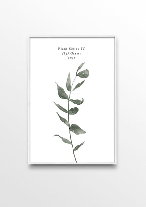 PLANT SERIES IV – EUCALYPTUS