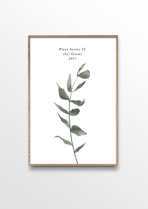 PLANT SERIES IV – EUCALYPTUS