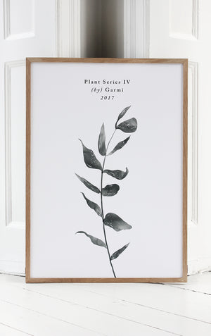 PLANT SERIES IV – EUCALYPTUS